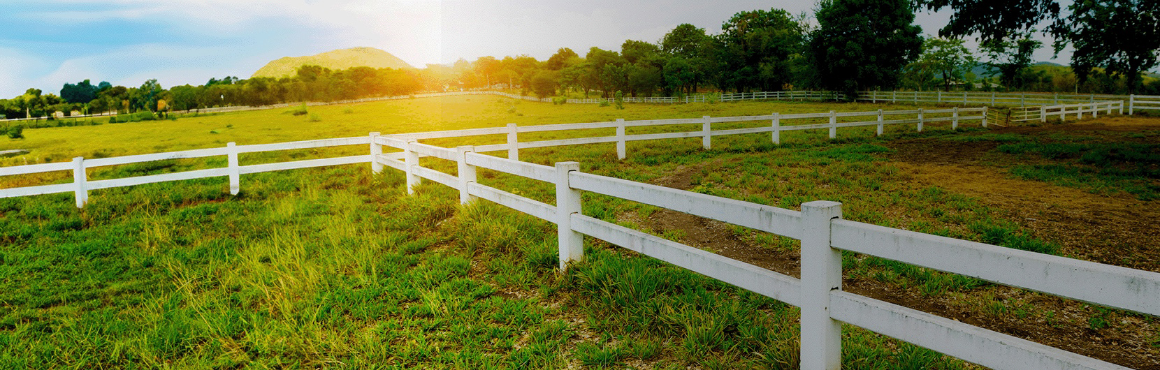 Mother Earth News Magazine